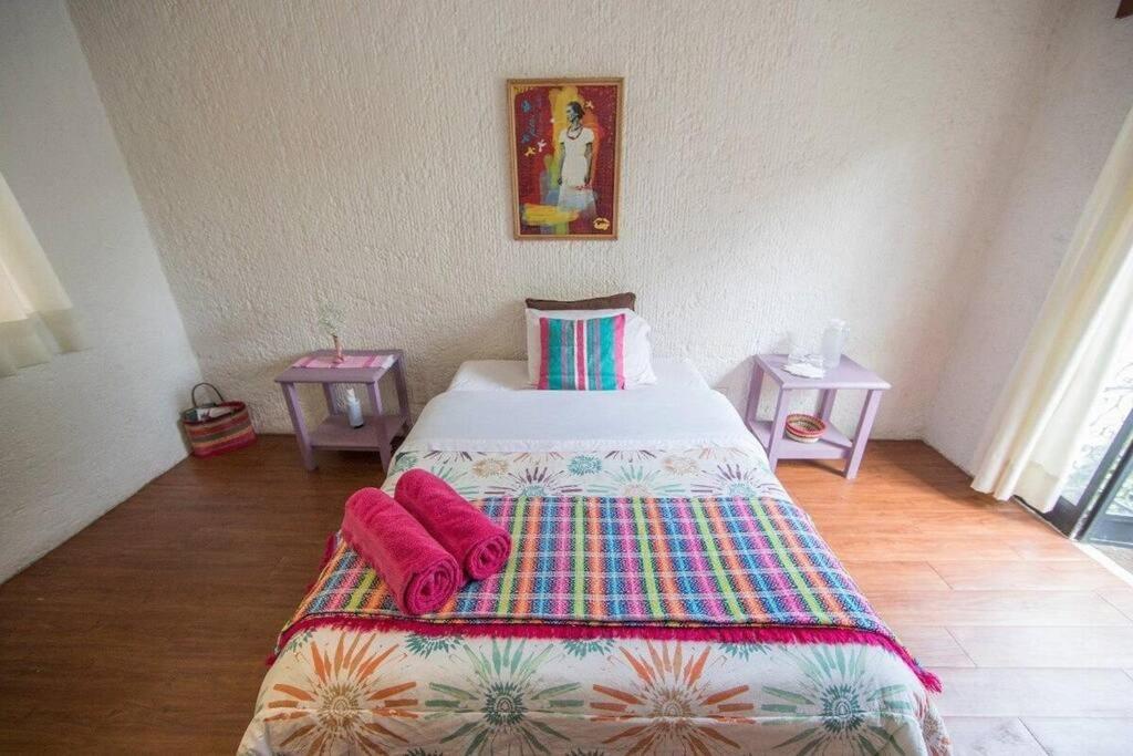 Villa Casa Ayvar. Espectacular Villa Colonial En El Corazon De Coyoacan. Мексико Сити Екстериор снимка