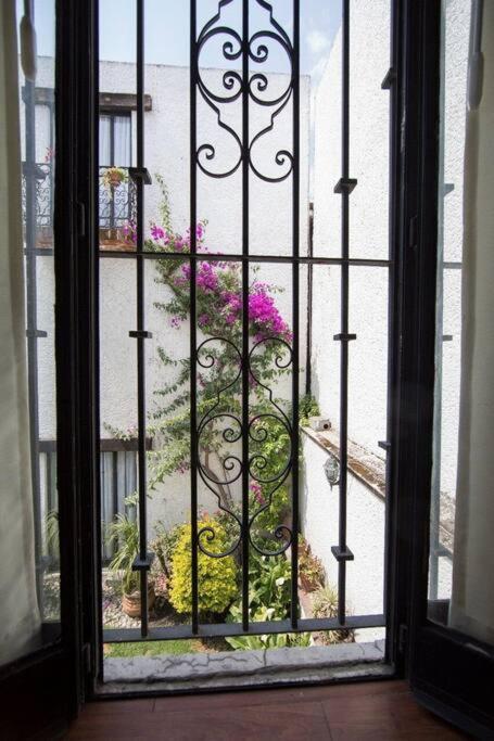 Villa Casa Ayvar. Espectacular Villa Colonial En El Corazon De Coyoacan. Мексико Сити Екстериор снимка
