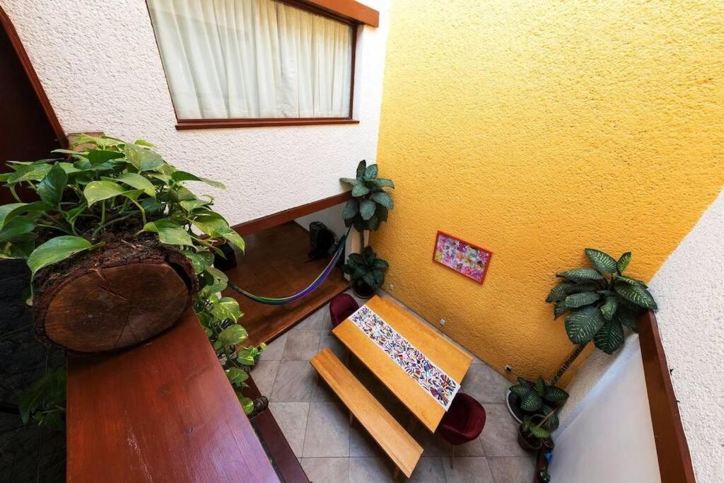 Villa Casa Ayvar. Espectacular Villa Colonial En El Corazon De Coyoacan. Мексико Сити Екстериор снимка