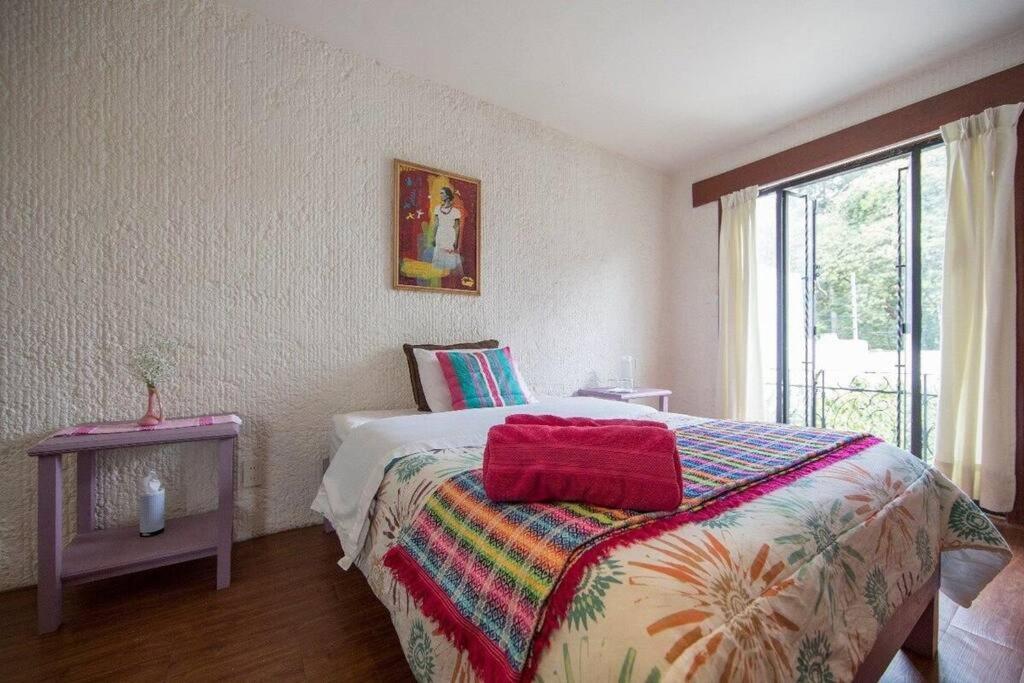 Villa Casa Ayvar. Espectacular Villa Colonial En El Corazon De Coyoacan. Мексико Сити Екстериор снимка